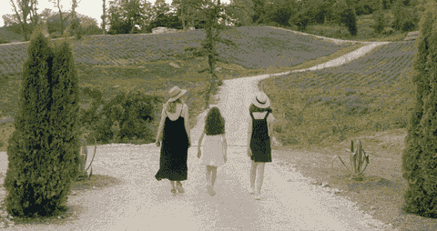 Three travellers walking together through lavender fields.